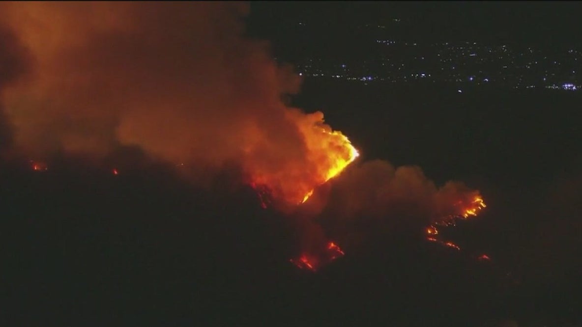 Tampa native monitors fires at UCLA